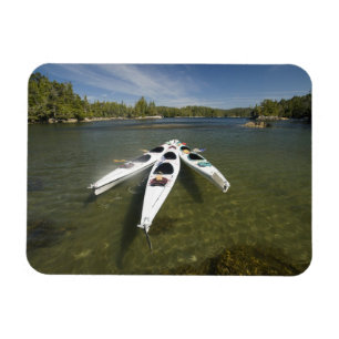 Kayak Fleet at Rest During Late Afternoon at Magnet