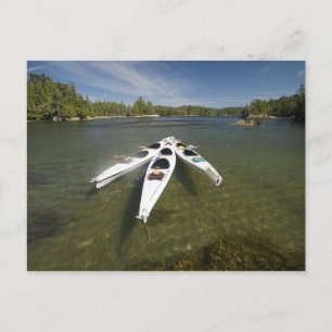 Kayak Fleet at Rest During Late Afternoon at Postcard