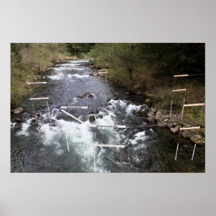 Kayak Race Markers Print