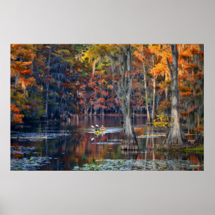 Kayaking - Caddo Lake, Texas - Autumn Poster