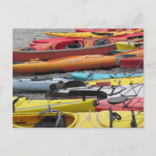 Kayaks in Alaska Postcard