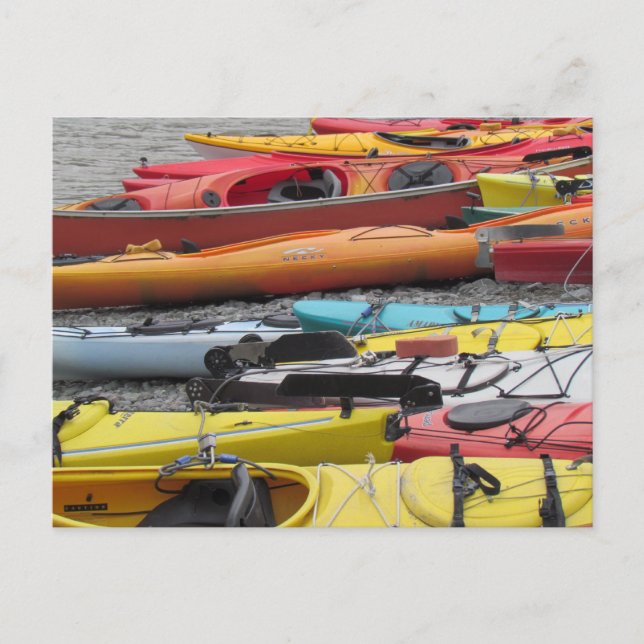 Kayaks in Alaska Postcard (Front)