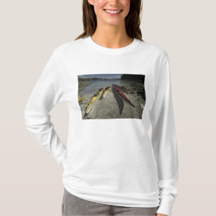 Kayaks on Dicebox Island, Broken Island Group, T-Shirt