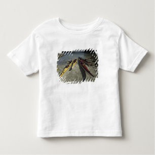 Kayaks on Dicebox Island, Broken Island Group, Toddler T-Shirt