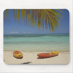 Kayaks on the beach, Plantation Island Resort 2 Mouse Pad
