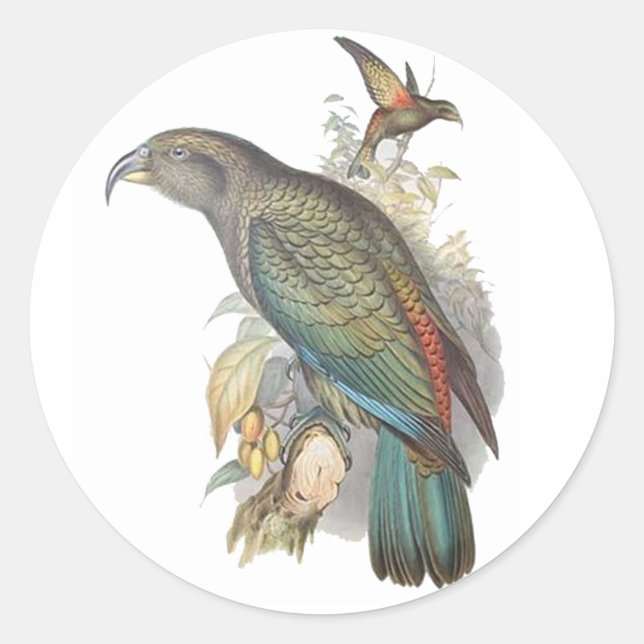 Kea Classic Round Sticker (Front)