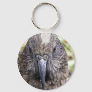 Kea Key Ring