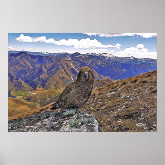 Kea Kountry Poster (Front)