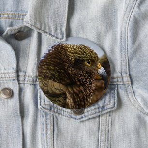 Kea (Nestor notabilis) 10 Cm Round Badge