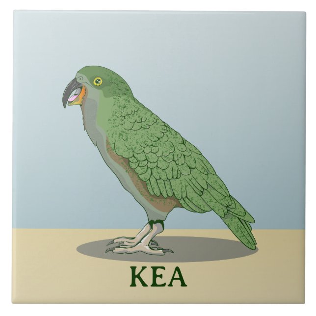 Kea New Zealand Bird Ceramic Tile (Front)