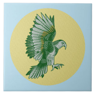 Kea New Zealand Bird Ceramic Tile