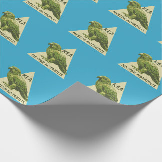 Kea New Zealand bird Wrapping Paper