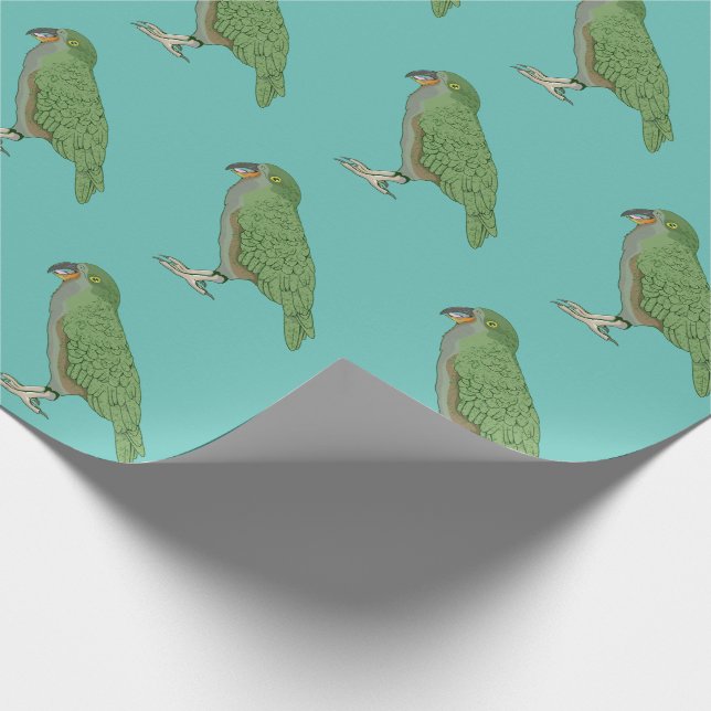 Kea New Zealand Bird Wrapping Paper (Corner)