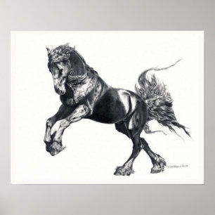 Keegan Jewel Friesian Stallion Poster