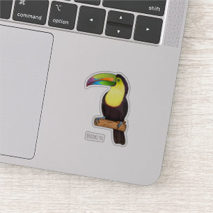 Keel-billed toucan bird cartoon illustration 