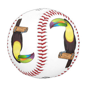 Keel-billed toucan bird cartoon illustration baseball