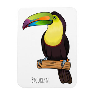 Keel-billed toucan bird cartoon illustration   magnet