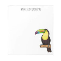 Keel-billed toucan bird cartoon illustration
