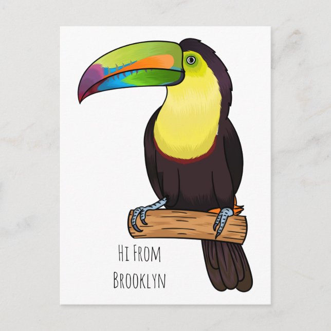 Keel-billed toucan bird cartoon illustration  postcard (Front)