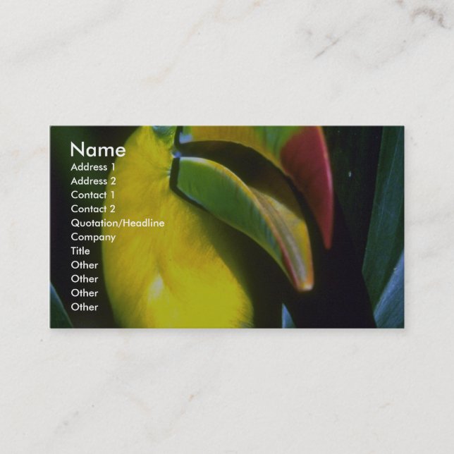 Keel-billed toucan business card (Front)