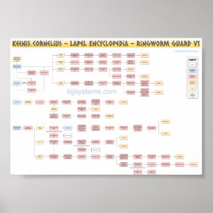 Keenan Cornelius - Ringworm Guard - Flowchart v1 Poster
