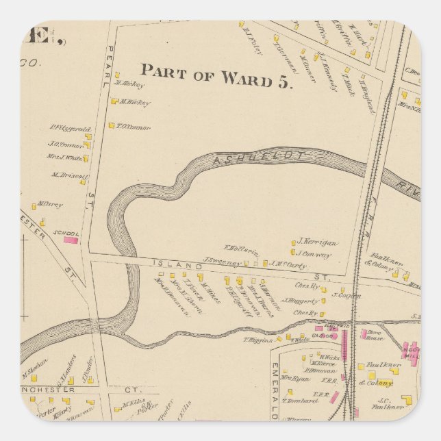 Keene, Ward 5 Square Sticker (Front)