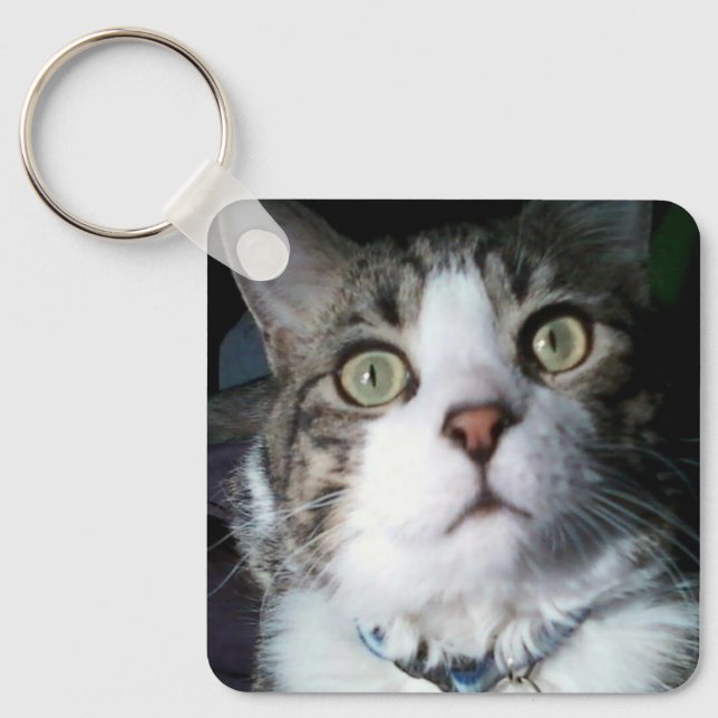 Keeno Did I hear Treats Keychain (Front)
