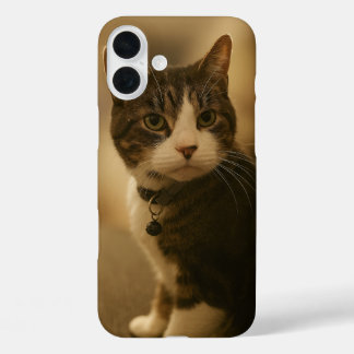 Keeno Golden Gaze iPhone 16 Case
