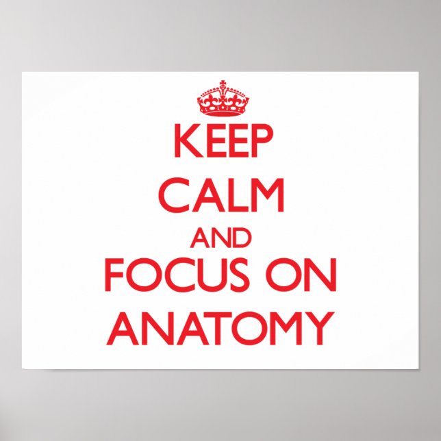 Keep calm and focus on ANATOMY Poster (Front)