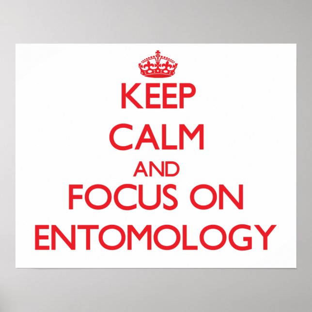 Keep Calm and focus on ENTOMOLOGY Poster (Front)