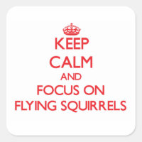 Keep Calm and focus on Flying Squirrels