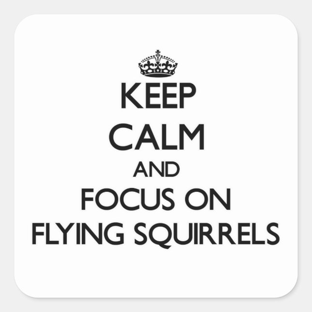 Keep Calm and focus on Flying Squirrels Square Sticker (Front)