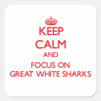 Keep Calm and focus on Great White Sharks Square Sticker