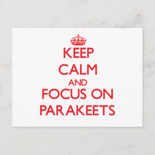 kEEP cALM AND FOCUS ON pARAKEETS Postcard