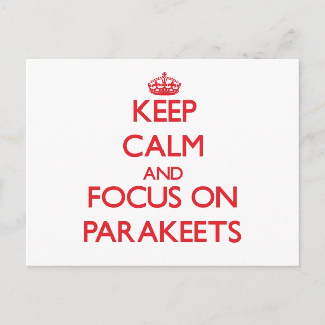 kEEP cALM AND FOCUS ON pARAKEETS Postcard (Front)