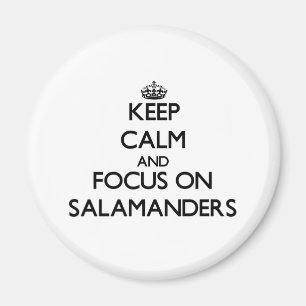 Keep calm and focus on Salamanders Magnet