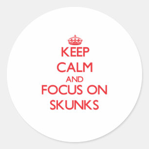 Keep Calm and focus on Skunks Classic Round Sticker