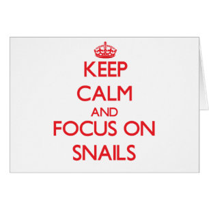 Keep Calm and focus on Snails