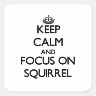 Keep Calm and focus on Squirrel Square Sticker