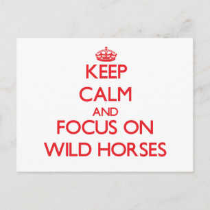 Keep calm and focus on Wild Horses Postcard