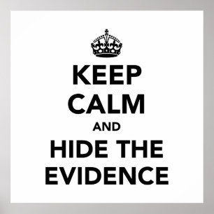 Keep Calm and Hide The Evidence Poster