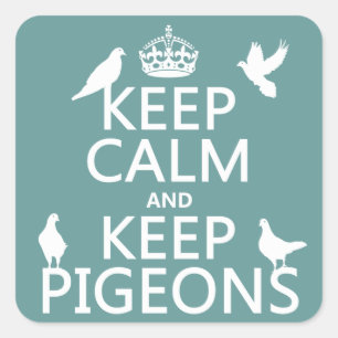 Keep Calm and Keep Pigeons - all colours Square Sticker