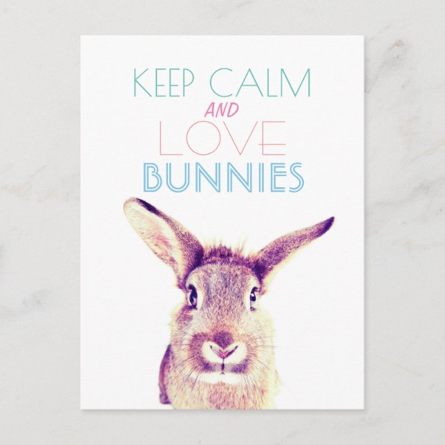 Keep calm and love bunnies Greeting Card (Front)