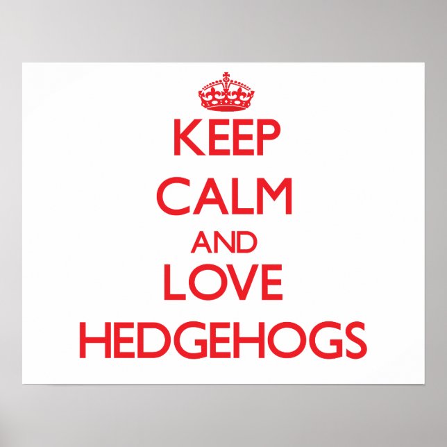Keep calm and love Hedgehogs Poster (Front)