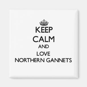 Keep calm and Love Northern Gannets Magnet