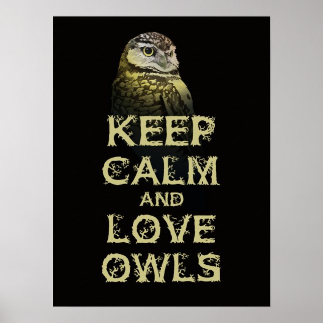 Keep Calm and Love Owls Poster Print Original Owl (Front)