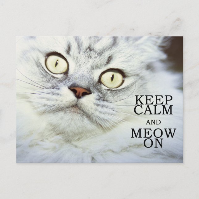 Keep Calm and Meow On Postcard (Front)