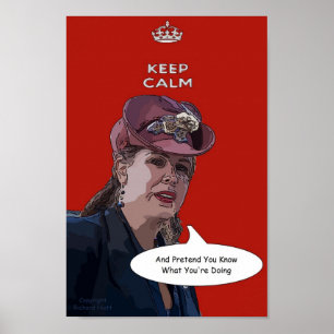 Keep Calm And Pretend You Know What You're Doing Poster