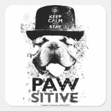 Keep Calm and Stay Pawsitive