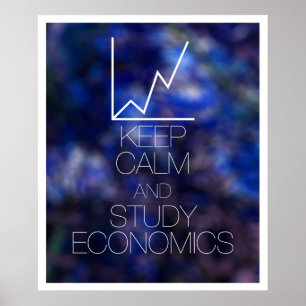 Keep Calm and Study Economics Poster